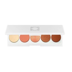 очна,линия,ofra,cosmetics,getaway,eye,shadow,8g,multicolor,(bronze,nude)