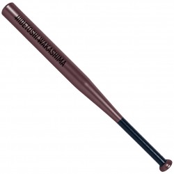 бейзбол,hidetoshi,wakashima,tokyo,baseball,bat,brown