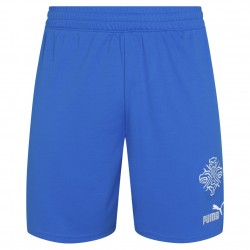 мъжки,къси,панталони,мъжки,къси,панталони,iceland,puma,men,home,shorts