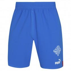 мъжки,къси,панталони,мъжки,къси,панталони,island,puma,men,player,issue,authentic,players,shorts