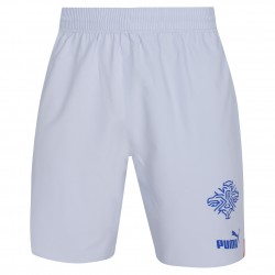 мъжки,къси,панталони,мъжки,къси,панталони,island,puma,men,player,issue,authentic,players,shorts