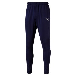 мъжки,анцуг,puma,liga,training,pants,pro,men,tracksuit,pants
