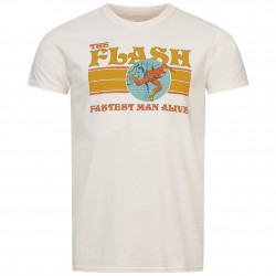 мъжка,тениска,dc,comics,70s,flash,men,t,shirt