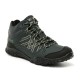 regatta,edgepoint,mi,ch99,briar,ellime