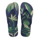 джапанки,havaianas,men,s,aloha,flip,flops,blue,lavender