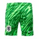 nike,stadium,short,gk,green,spark