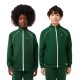 lacoste,unisex,kids,waterproof,adjustable,hood,rain,anorak,green