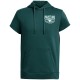 суичър,мъжки,горнища,с,качулка,under,armour,men,s,pr,icon,sleeveless,hoodie,blue