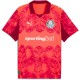 вратарско,горнище,футболни,фланелки,aston,villa,oldham,athletic,sheffield,wednesday,stoke,city,sunderland,hertha,berlin,република,ирландия,футболни,фланелк