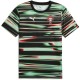 тениска,футболни,фланелки,футбол,puma,portugal,pre,match,t,shirt,2025,adults,black,white
