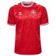 футболна,фланелка,всичко,за,футбола,на,разпродажба,hummel,denmark,home,shirt,2024,adults,red