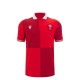 юношеска,футболна,фланелка,ръгби,облекла,ръгби,фланелки,wales,rugby,union,фланелки,детски,облекла,macron,wales,rugby,home,shirt,2025,juniors,red