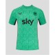 футболни,фланелки,национални,отбори,castore,ireland,2025,adults,pre,match,shirt,green,caviar
