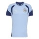 тениска,футболни,фланелки,футбол,adidas,men,s,ajax,amsterdam,training,t,shirt,blue,navy