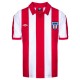 футболни,фланелки,английска,футболна,лига,oldham,athletic,portsmouth,stoke,city,sunderland,република,ирландия,футболни,фланелки,southampton,фланелки,от,раз