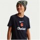 тениска,футболни,фланелки,английската,висша,лига,chelsea,детски,3/4,панталони,детски,тениски,облекла,с,футболна,тема,nike,kids,nike,chelsea,crest,t,shirt,b