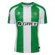 футболна,фланелка,футболни,фланелки,oldham,athletic,stoke,city,sunderland,република,ирландия,футболни,фланелки,southampton,фланелки,от,различни,клубове,исп