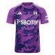 футболна,фланелка,футболни,фланелки,английската,висша,лига,adidas,fulham,third,shirt,2024,2025,adults,purple