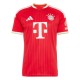 мъжка,футболна,фланелка,футболни,фланелки,германия,бундеслига,fc,bayern,munich,fc,nurnberg,fc,schalke,04,други,фланелки,от,бундеслигата,vfb,stuttgart,adida