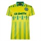 футболни,горнища,team,celtic,89a,jsy,sn41,yellow