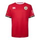 мъжки,къси,панталони,ръгби,облекла,canterbury,british,&,irish,lions,shirt,mens,red