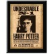 трофеи,harry,potter,harry,potter,undesirable,plaque,multi,format,and,universal