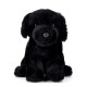 zappi,black,labrador,dog,20ml,plush,none