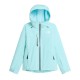 дамско,яке,the,north,face,womens,descend,jacket,blue