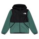 туристическо,облекло,детски,полари,детски,облекла,the,north,face,fleece,junior,green