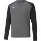 детска,фланелка,puma,teampacer,gk,ls,jersey,jr,goalkeeper,top,unisex,kids,smkdprl,blk,wht