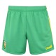 къси,панталони,мъжки,къси,панталони,oneills,donegal,mourne,shorts,senior,green,amber