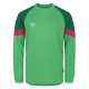 фланелка,мъжки,горнища,размер+,вратарски,ръкавици,и,облекло,umbro,gk,jersey,ls,sn99,andean,toucan