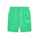 юношески,къси,панталони,детски,3/4,панталони,polo,ralph,lauren,logo,shorts,juniors,plato,green