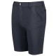 мъжки,къси,панталони,мъжки,панталони,тип,чино,regatta,sandrosshort,sn99,india,grey