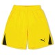 юношески,къси,панталони,детски,къси,панталони,puma,f1,fb,team,shorts,with,brief,juniors,yellow