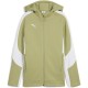детско,горнище,puma,unisex,kids,teamevostripe,hooded,performance,tracksuit,top,clmnggrn,sl,wht