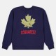 блуза,dsquared2,kids,dsq,maple,cotton,mix,crew,neck,sweatshirt,blue,dq864