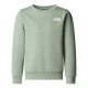 юношеска,блуза,детски,облекла,the,north,face,simple,dome,crew,sweatshirt,juniors,moss