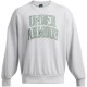 блуза,мъжки,блузи,under,armour,men,s,icon,crew,sweatshirt,grey