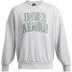 облекла,на,разпродажба,разпродажба,under,armour,мъжки,блузи,under,armour,icon,hwt,crew,sn99,grey