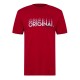 тениска,облекла,на,разпродажба,мъжки,тениски,original,penguin,l,logo,tee,sn99,salsa
