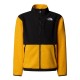 юношеско,яке,the,north,face,denali,jacket,juniors,summit,gold,56p
