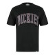 тениска,мъжки,тениски,dickies,dickies,aitkin,tee,sn44,black
