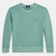 юношеска,блуза,детски,3/4,панталони,polo,ralph,lauren,logo,sweatshirt,juniors,faded,mint