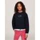 юношеска,блуза,детски,облекла,tommy,hilfiger,nyc,foil,sweatshirt,juniors,desert,sky,dw5
