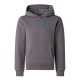 юношески,суичър,детски,горнища,с,качулка,the,north,face,liquid,logo,hoodie,juniors,smoked,pearl