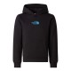 юношески,суичър,детски,горнища,с,качулка,the,north,face,liquid,logo,hoodie,juniors,tnf,black,jk3