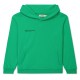 юношески,суичър,pangaia,365,hoodie,juniors,jade,green