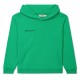 юношески,суичър,детски,3/4,панталони,pangaia,365,hoodie,juniors,jade,green
