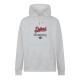 суичър,мъжки,горнища,с,качулка,dfnd,london,l,divd,hoodie,sn99,stone